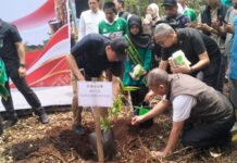 Uji Adaptasi Bambu dan Jelutung dengan Teknik Tumpang Sari Mulai Dilaksanakan di OKI