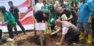 Uji Adaptasi Bambu dan Jelutung dengan Teknik Tumpang Sari Mulai Dilaksanakan di OKI