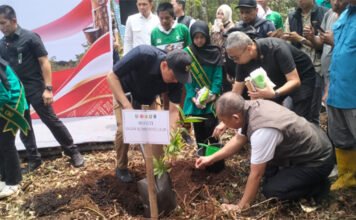 Uji Adaptasi Bambu dan Jelutung dengan Teknik Tumpang Sari Mulai Dilaksanakan di OKI