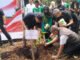 Uji Adaptasi Bambu dan Jelutung dengan Teknik Tumpang Sari Mulai Dilaksanakan di OKI