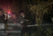 Gerak Cepat TNI dan Damkar Padamkan Karhutla di Desa Sungai Bungin OKI