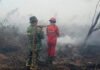 TNI dan Tim Gabungan Berjibaku Padamkan Karhutla di Tulung Selapan, 7 Hektare Lahan Terbakar