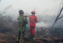 TNI dan Tim Gabungan Berjibaku Padamkan Karhutla di Tulung Selapan, 7 Hektare Lahan Terbakar