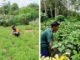 Polres OKI Gencarkan Program Pekarangan Bergizi, Dorong Ketahanan Pangan dari Rumah