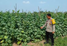 Polres OKI Gencarkan Program Pekarangan Pangan Bergizi di Pedamaran Timur dan Teluk Gelam