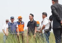 Hotspot Belum Tentu Kebakaran, Satgas OKI Intensifkan Pengecekan Lapangan