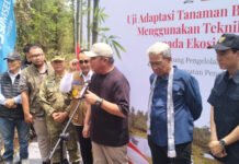 Dua Dekade Bebas Karhutla, Restorasi Lahan Gambut di Sepucuk OKI Jadi Rujukan Nasional