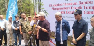 Dua Dekade Bebas Karhutla, Restorasi Lahan Gambut di Sepucuk OKI Jadi Rujukan Nasional