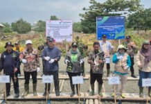 Tekan Risiko Abrasi dan Banjir Rob, PHE OSES dan Pemkab Lampung Timur Kembangkan Demplot Mangrove