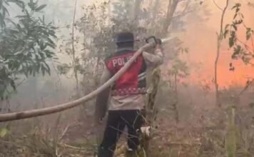 Api Membakar Lahan di Perigi, Polres OKI dan Warga Berjibaku Cegah Karhutla Meluas