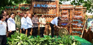 Sekolah HELAU Diluncurkan di Lampung Selatan, Bupati Egi Dorong Lingkungan Belajar Nyaman dan Asri
